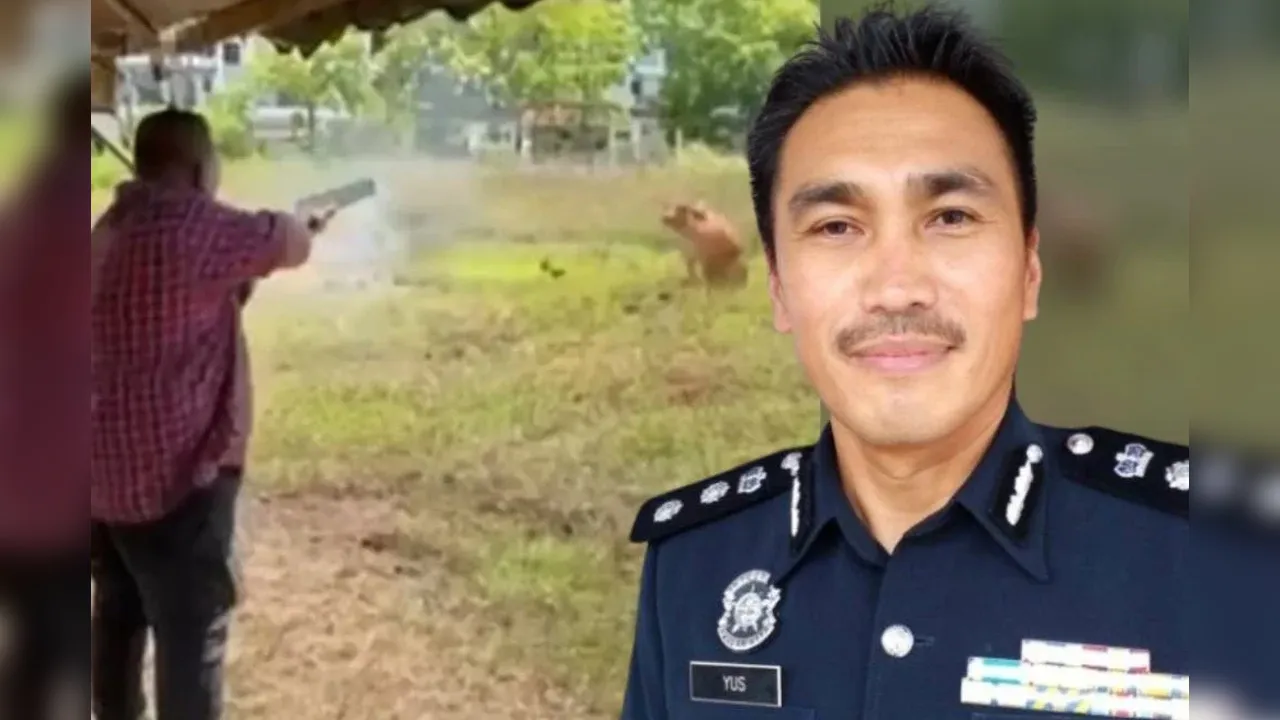 KANGAR – Polis merampas selaras 'shotgun' dipercayai digunakan Menteri Besar Perlis, Abu Bakar Hamzah dalam insiden tembakan ke arah seekor lembu korban yang didakwa mengamuk di Dataran Lok 9, Kuala Perlis, Khamis lalu._SINAR HARIAN
