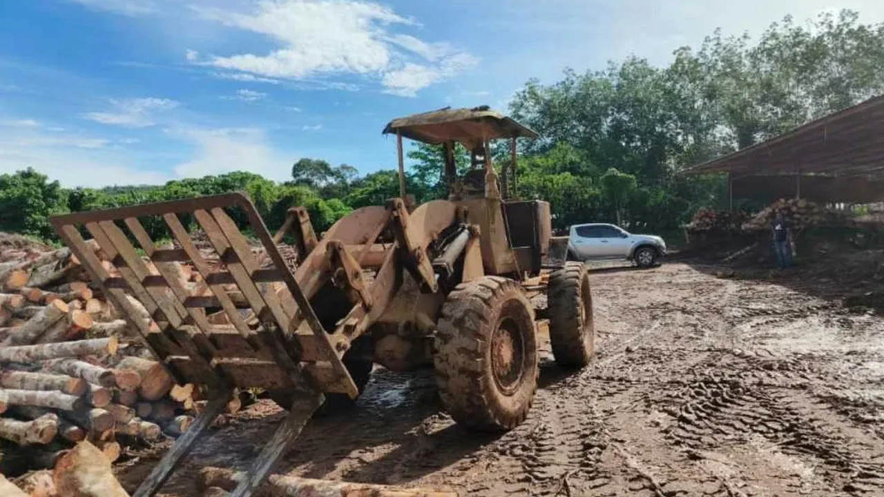 OBK yang dijalankan pada Selasa di Jeniang menyaksikan rampasan pelbagai mesin, jentera dan kayu balak yang dianggarkan bernilai RM4,338,545
