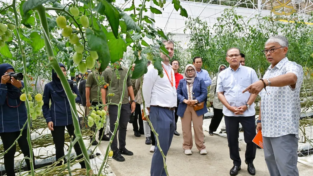 Kebawah Duli Paduka Baginda Sultan Pahang, Al-Sultan Abdullah Ri’ayatuddin Al-Mustafa Billah Shah bertitah supaya para pekebun dan petani yang mengusahakan tanaman secara rumah hijau (green house) di Cameron Highlands mengamalkan kaedah pertanian tanpa penggunaan racun serangga serta bahan kimia berbahaya. -- FB Kesultanan Pahang