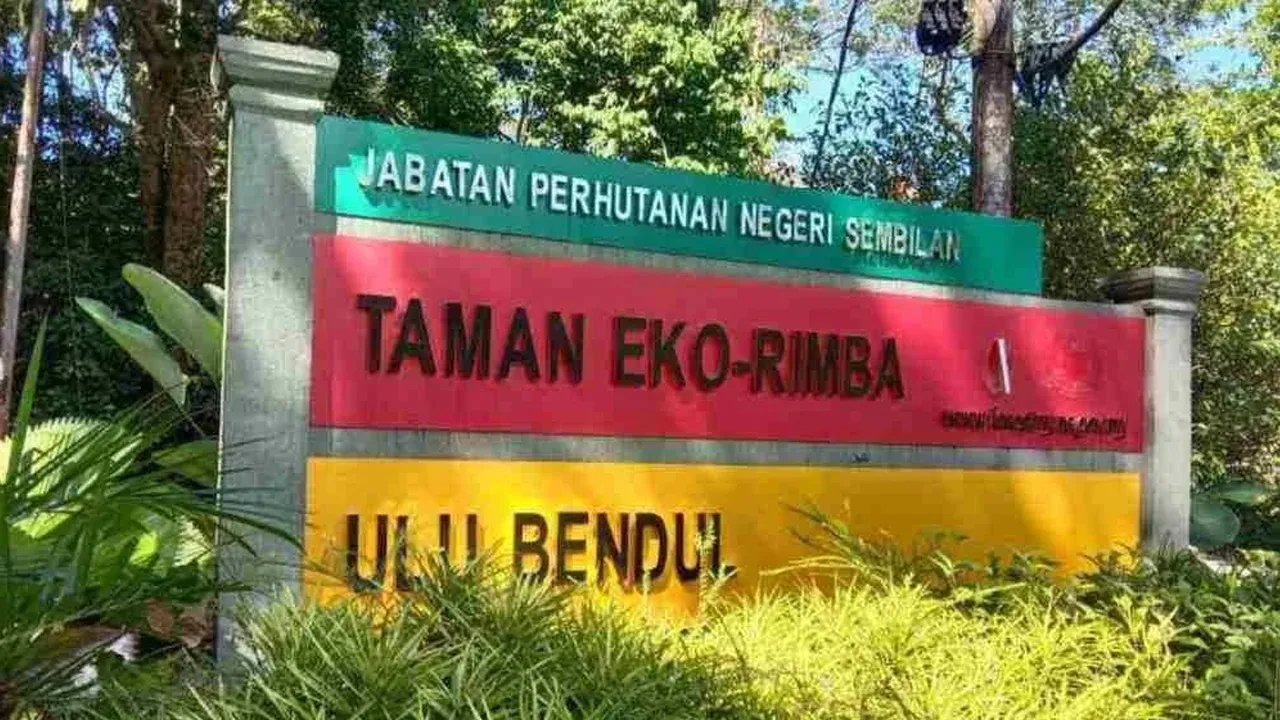 SINAR HARIAN