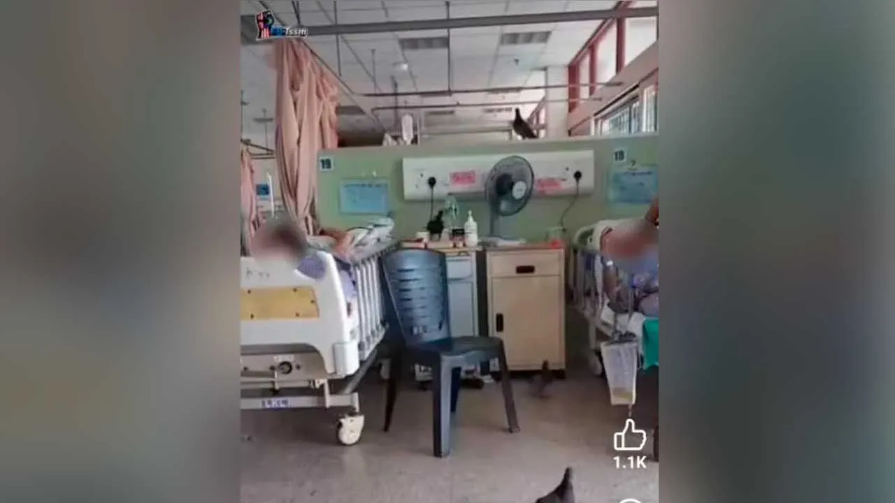 [TB]_Burung merpati masuk wad HTAR_SINAR