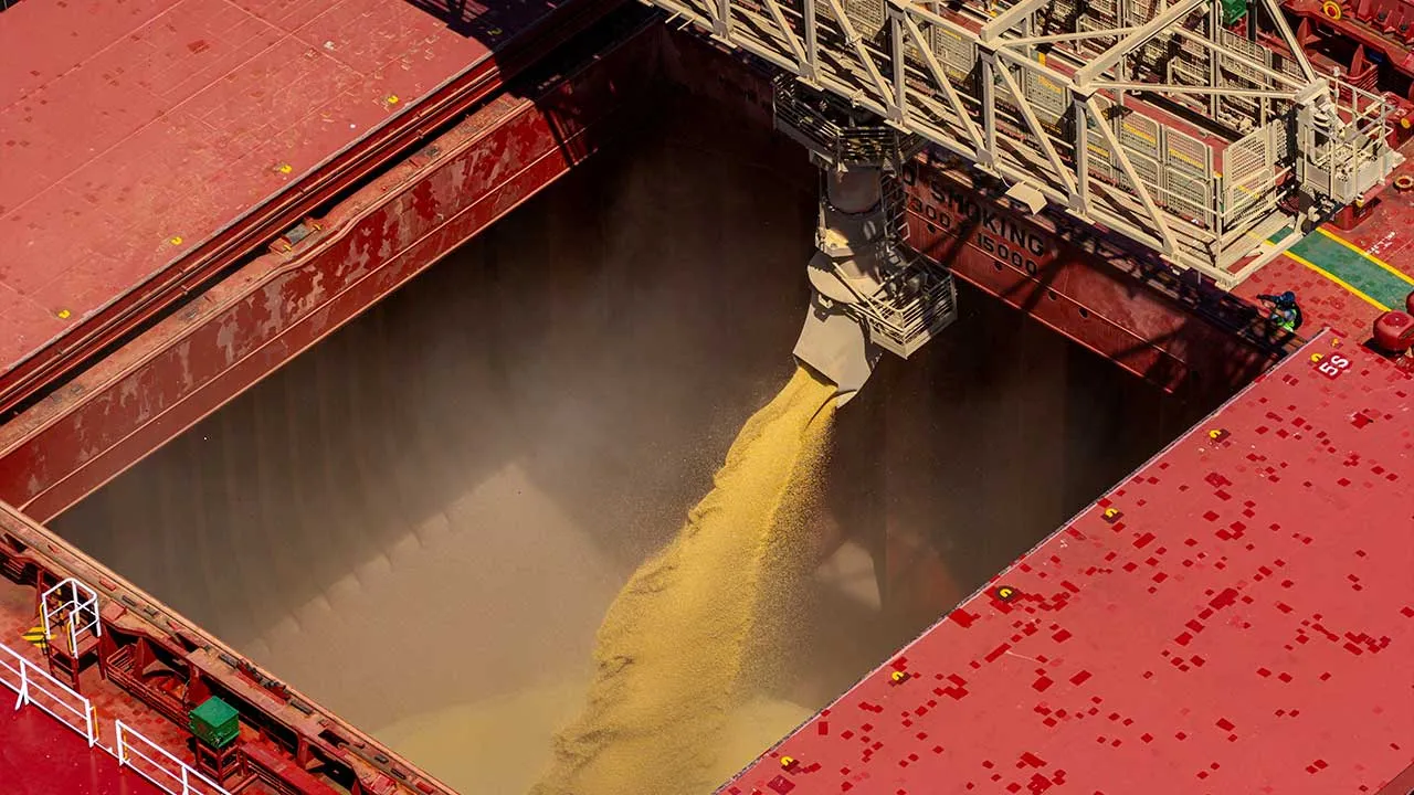 FILE PHOTO: A drone view shows a bulk carrier being loaded with soybeans at the port of Paranagua, Parana, Brazil, March 28, 2026. REUTERS/Rodolfo Buhrer/File Photo