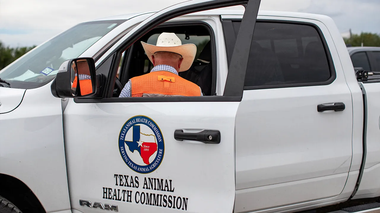 Tuffy, a Texas Animal Health Commission representative prepares a survey and informational handout at a livestock screening checkpoint on highway 57, a day after the U.S. Department of Agriculture confirmed that New World screwworm was detected in a Texas calf, in Batesville, Texas, U.S., June 4, 2026. REUTERS/Kaylee Greenlee