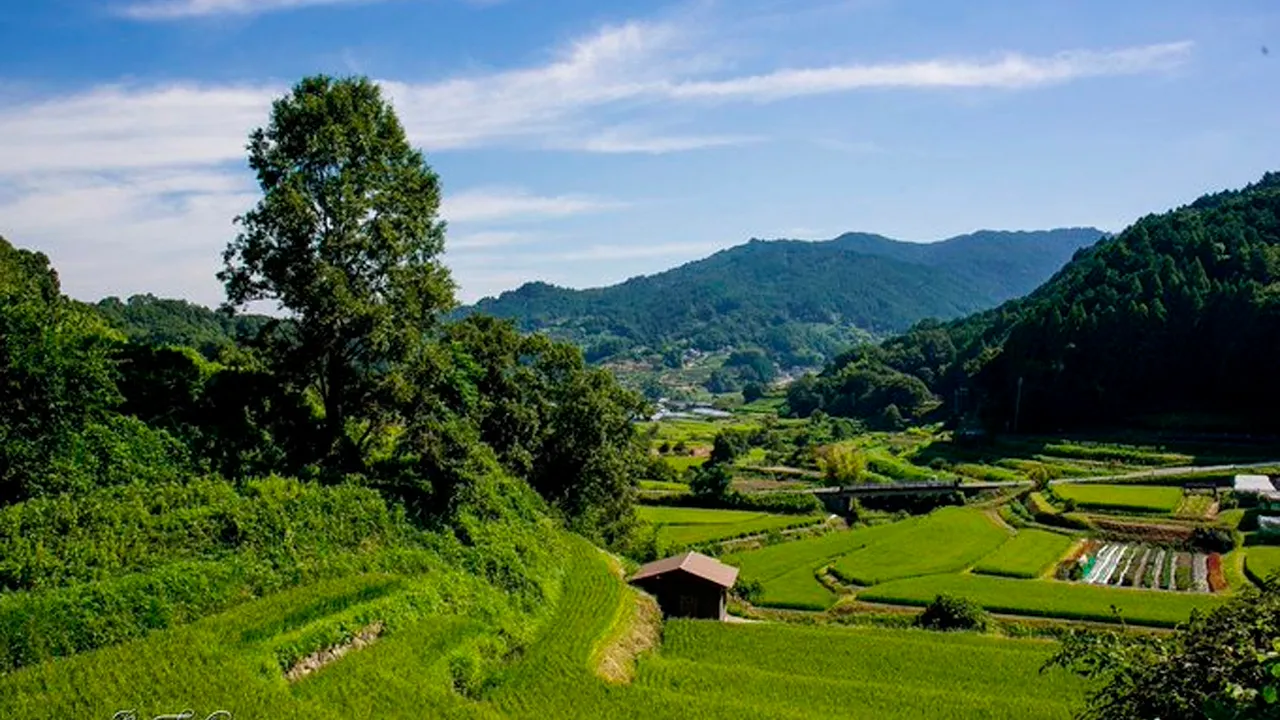 ICOMOS, an advisory body to UNESCO, has recommended the Asuka-Fujiwara ancient capital sites in Nara Prefecture for inscription as a World Heritage Site!_X @rutasosabu