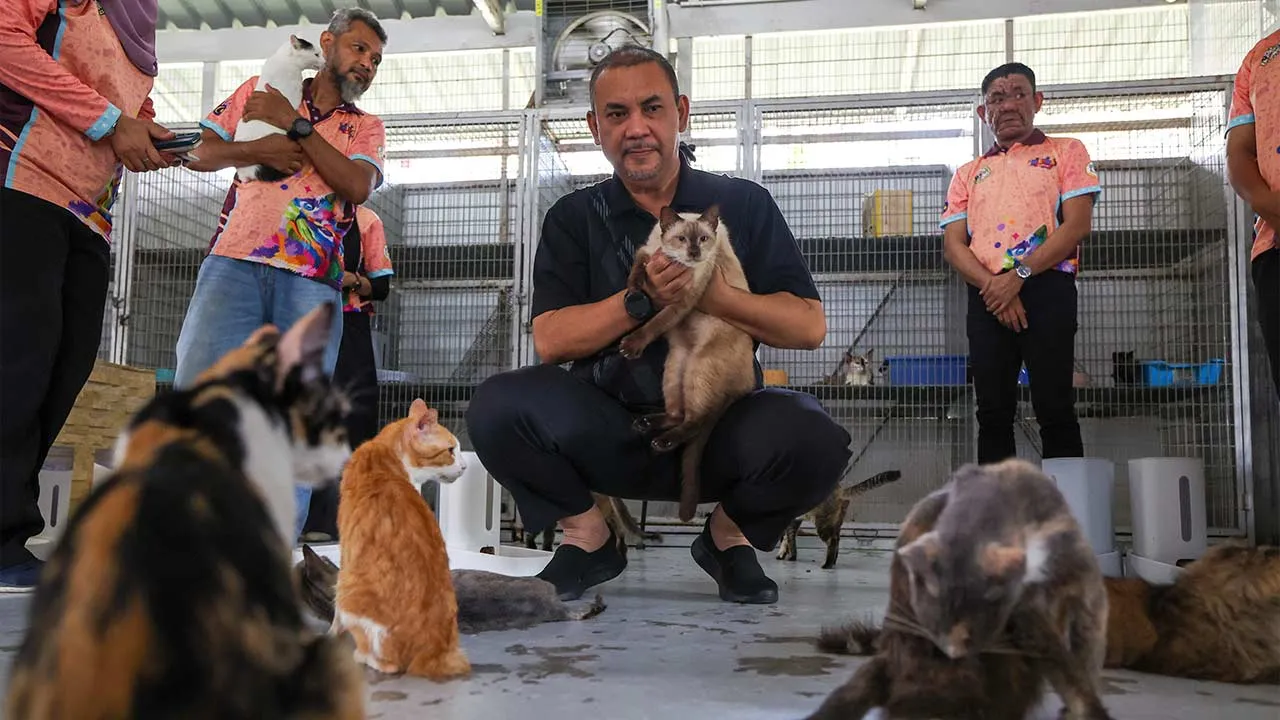 KUALA LUMPUR, 27 Jun –- Setiausaha Politik kepada Perdana Menteri Datuk Azman Abidin melihat kucing-kucing yang ditempatkan di Taman Kucing MADANI ketika hadir merasmikan Program Adopsi Kucing: "FURREAL – Adopt, Don’t Shop," anjuran ICEPS UiTM dengan kerjasama Kelab Kucing MADANI di Flat Sri Sabah hari ini.  -- fotoBERNAMA (2026) HAK CIPTA TERPELIHARA