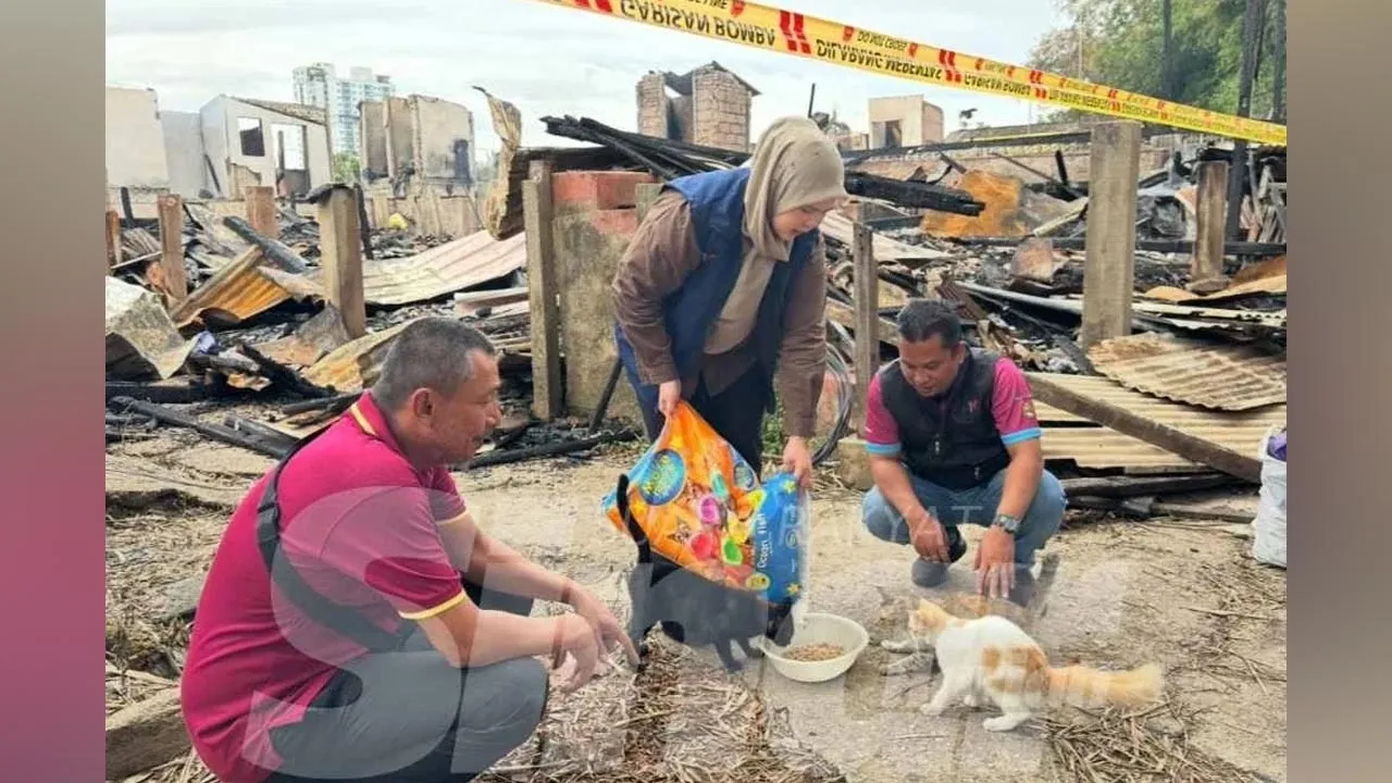 kebakaran gok kapur - Sinar Harian