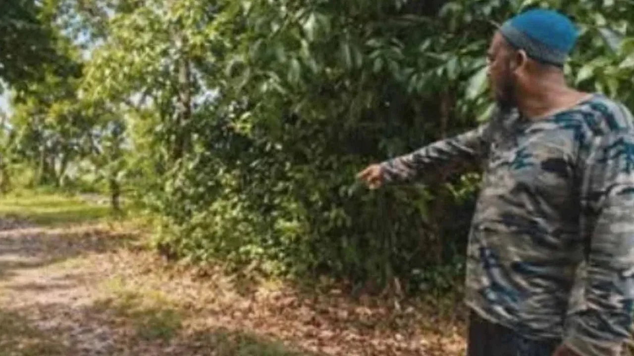 Mangsa ditemui oleh orang awam di kawasan semak berhampiran tali air kira-kira jam 11 pagi sebelum dimaklumkan kepada bapanya yang sedang mencari gadis terbabit selepas remaja itu tidak pulang ke rumah sejak keluar beriadah pada jam 7 pagi.