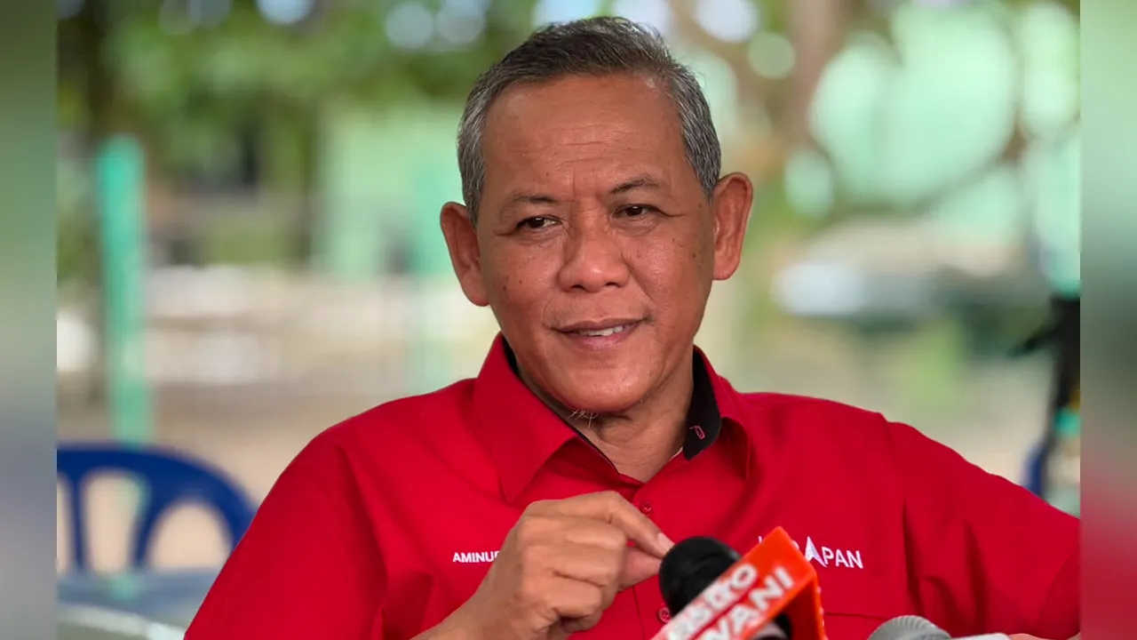 Aminuddin Harun, Linggi