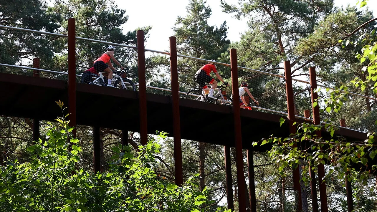 People ride their bikes up to 10 metres above ground through the trees part of the "Cycling through the Trees" experience in Bosland National Park during a heat wave in Hechtel-Eksel, Belgium, July 16, 2026. REUTERS/Yves Herman