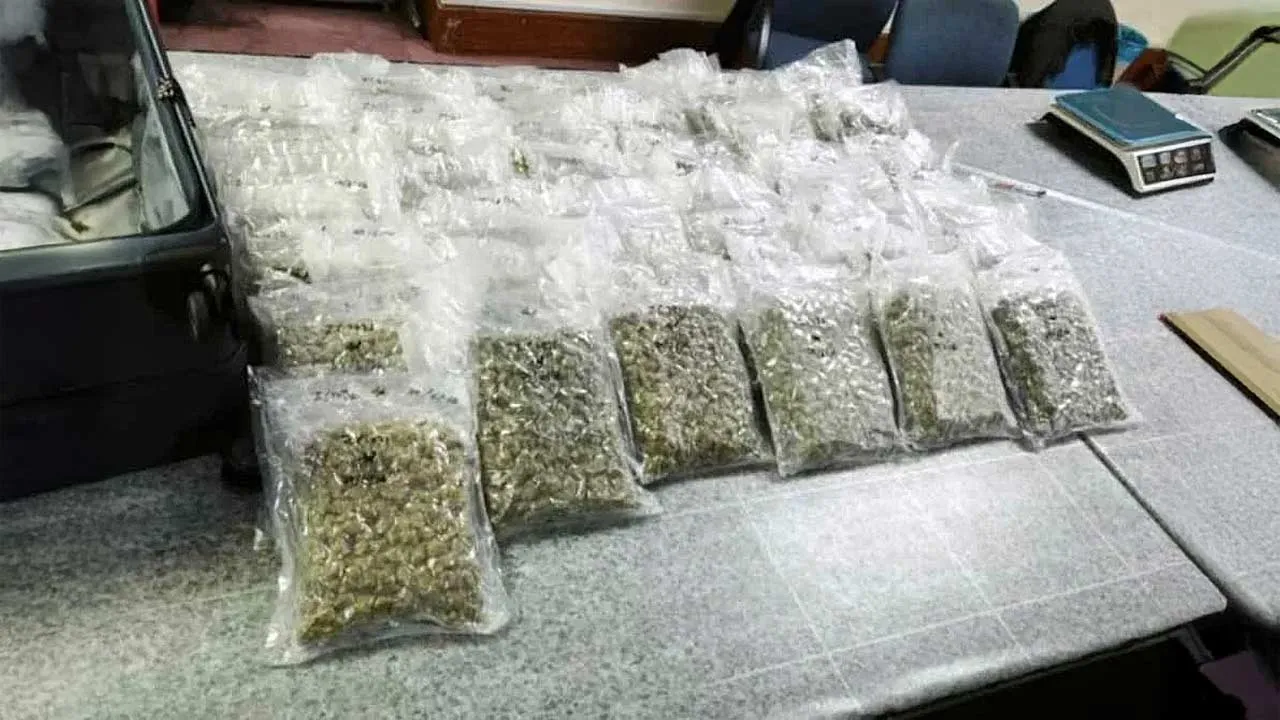 Antara bunga ganja yang dirampas hasil kerjasama antara AKPS dan AVSEC di KLIA pada Isnin. - FOTO: AKPS