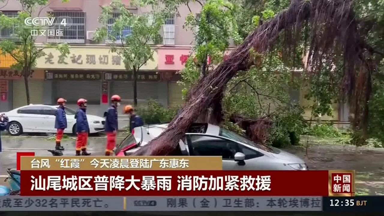 Fallen trees, flooding risks in Southern China after Typhoon Noul makes landfall -- REUTERS/CCTV