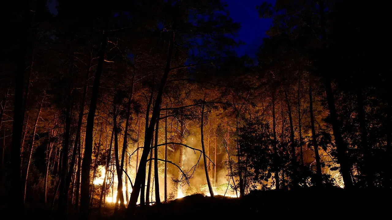 A wildfire burns in Noisy-sur-Ecole near Fontainebleau, southern Paris, France, July 12, 2026. REUTERS/Benoit Tessier