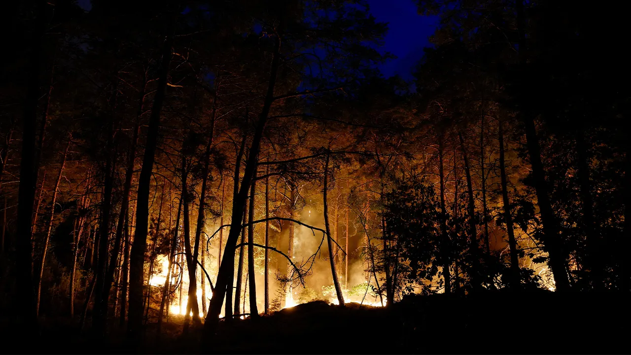 A wildfire burns in Noisy-sur-Ecole near Fontainebleau, southern Paris, France, July 12, 2026. REUTERS/Benoit Tessier