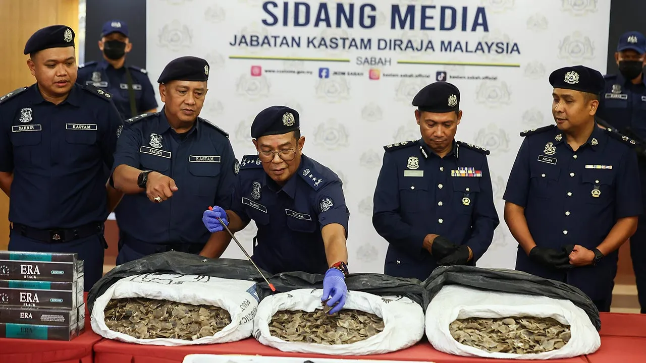 SANDAKAN, 16 Julai -- Pengarah Kastam Negeri Sabah, Ahmad Taufik Sulaiman (tengah) menunjukkan sisik tenggiling bernilai RM1.3 juta yang dirampas di pintu masuk kargo udara Sandakan pada 6 Julai lalu sewaktu mengadakan sidang media hari ini.  -- fotoBERNAMA (2026) HAK CIPTA TERPELIHARA