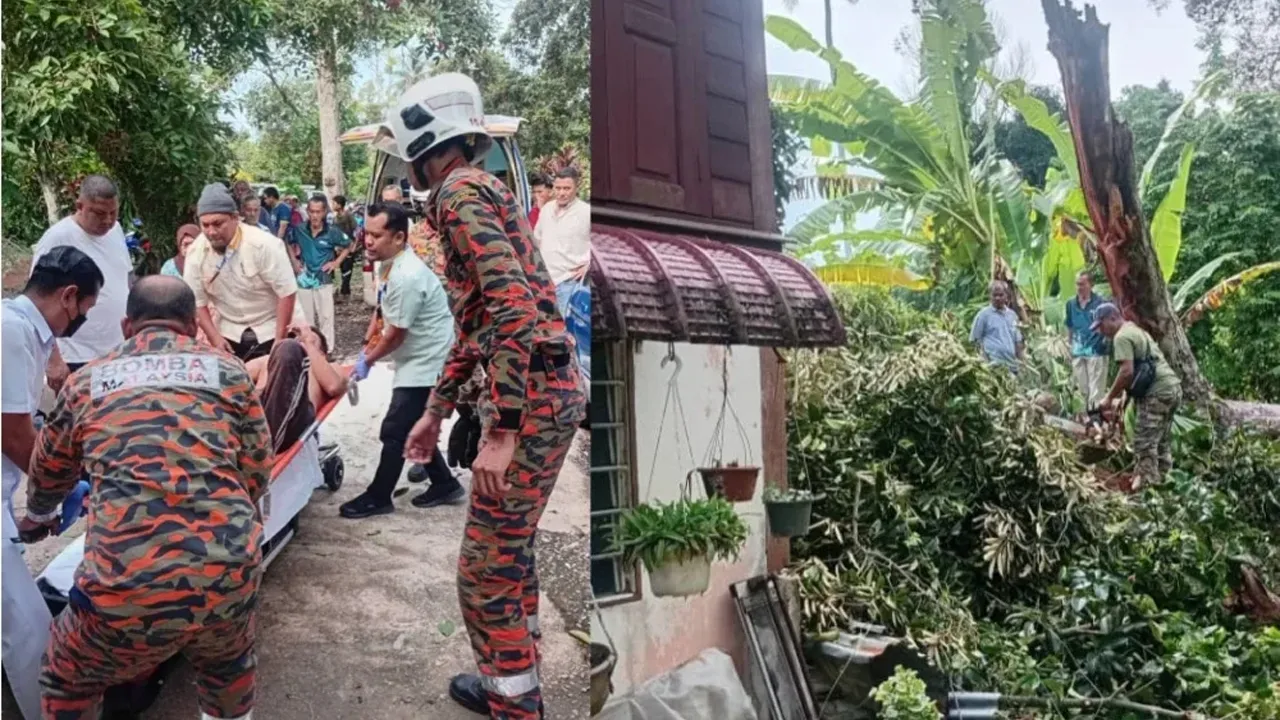YAN – Seorang lelaki cedera dihempap pokok durian dalam kejadian di Jalan Batu Hampar, Kampung Matang Keramat di sini kira-kira jam 10 pagi Jumaat.  Jabatan Bomba dan Penyelamat Malaysia (JBPM) dalam kenyataan memaklumkan, mangsa, 40-an, mengalami patah kaki kanan dan patah tangan kiri akibat kejadian tersebut.