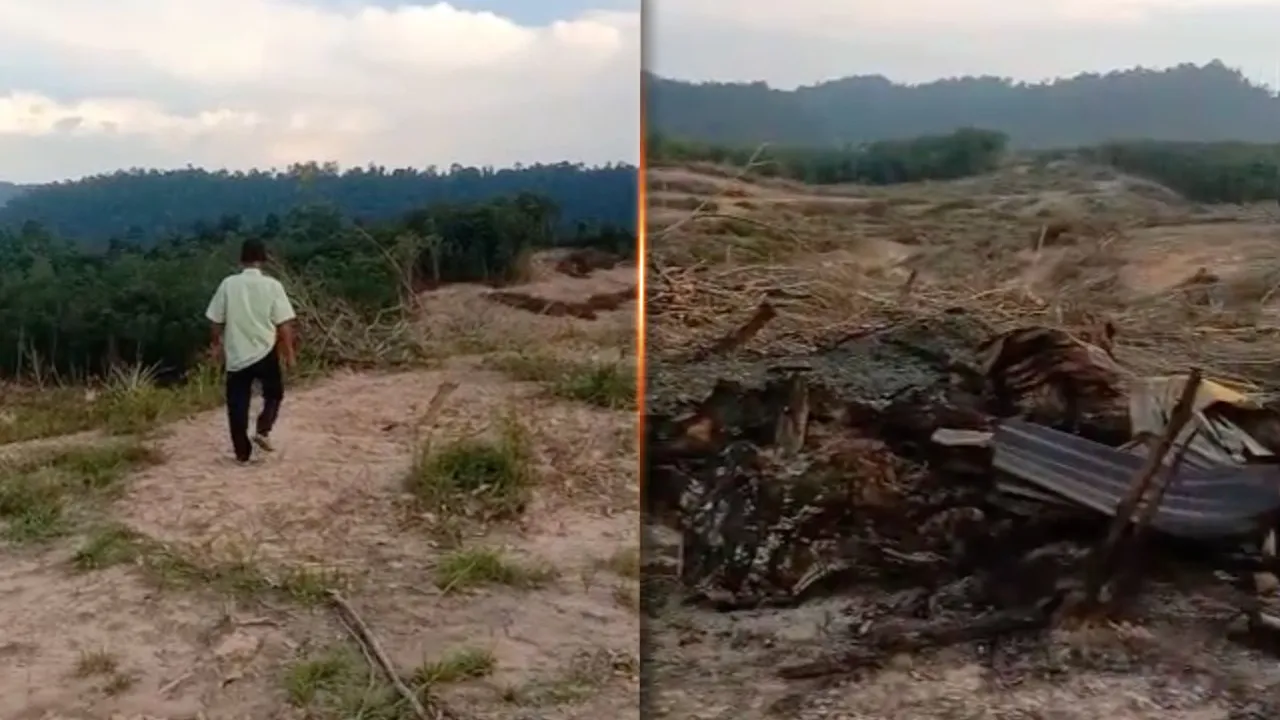 ORANG ASLI COT 
