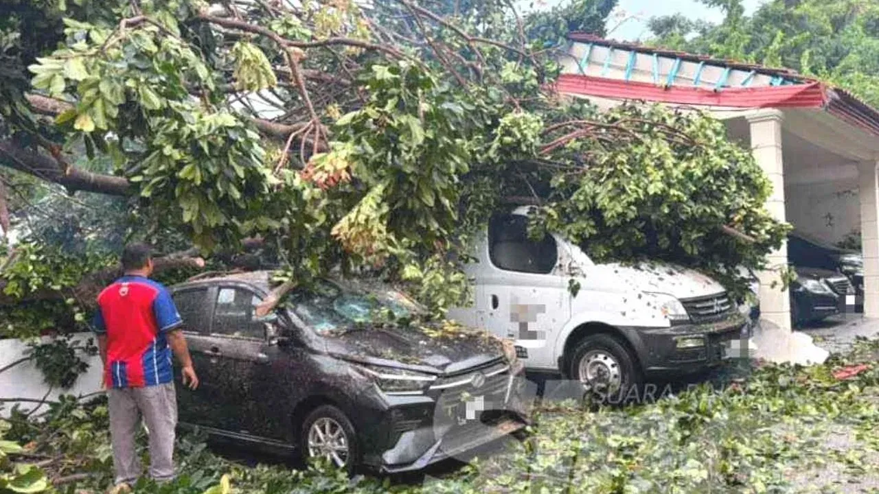 Keadaan kereta yang terjejas akibat dihempap pokok tumbang. -- SINAR HARIAN