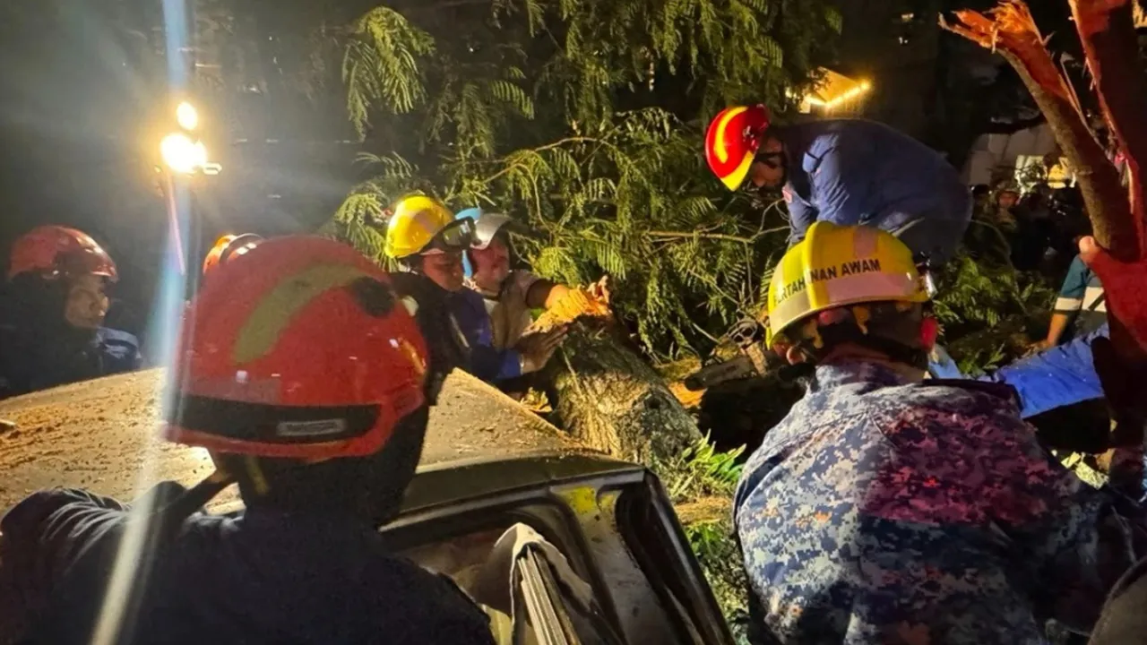 Pokok Tumbang Jalan Tun Razak_PDRM