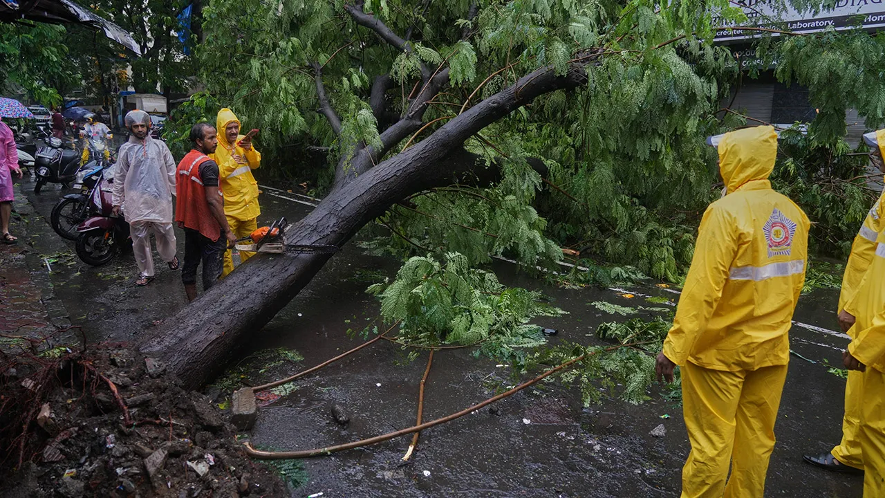 Police officers stand near a tree that fell onto a street during monsoon rains in Mumbai, India, Sunday, July 5, 2026. (AP Photo/Rafiq Maqbool)