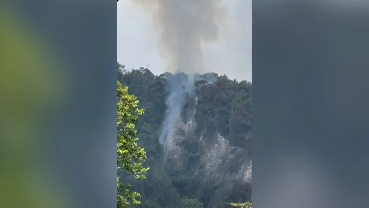 TAMAN NEGARA NIAH DISAMBAR PETIR