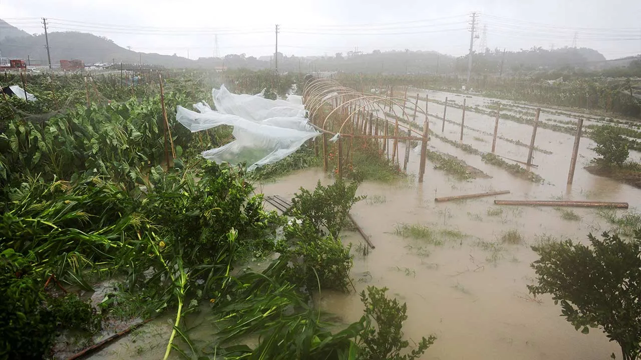 Farmland is flooded by heavy rain brought by Typhoon Bavi in Wenzhou, Zhejiang province, China, July 12, 2026. REUTERS/Go Nakamura