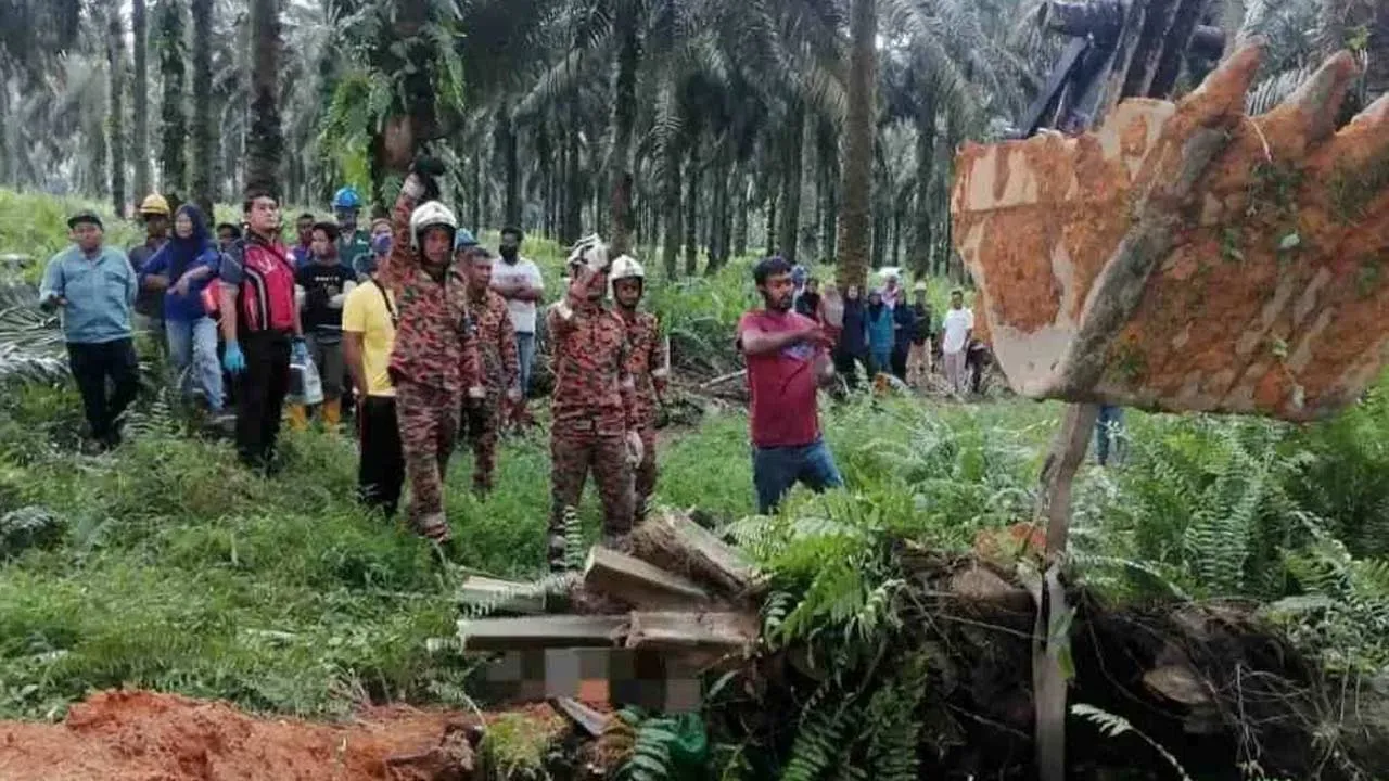 Seorang wanita warga tempatan maut selepas dihempap pokok kelapa sawit tumbang.