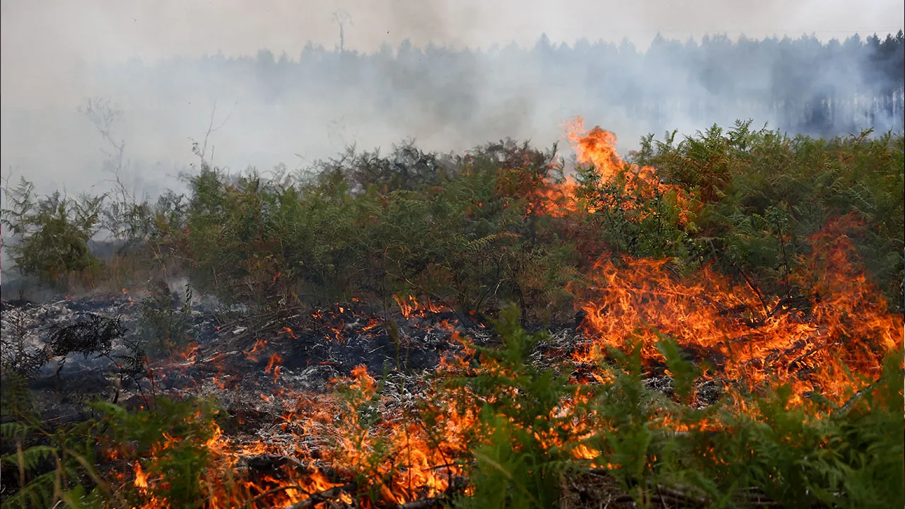 A view of a wildfire near Lacanau, amongst worsening drought conditions following a heatwave and water shortages across much of France, July 25, 2026. REUTERS/Abdul Saboor