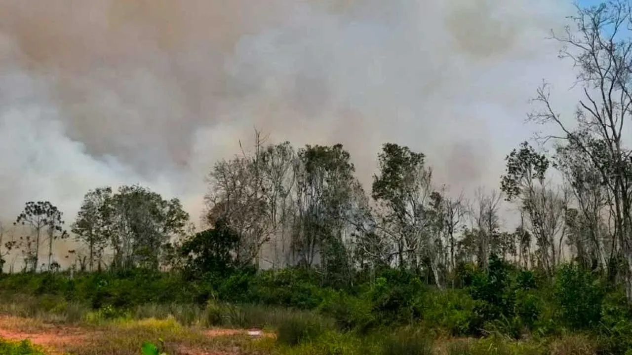 [TB]_Ladang terbakar Kota Tinggi_SINAR