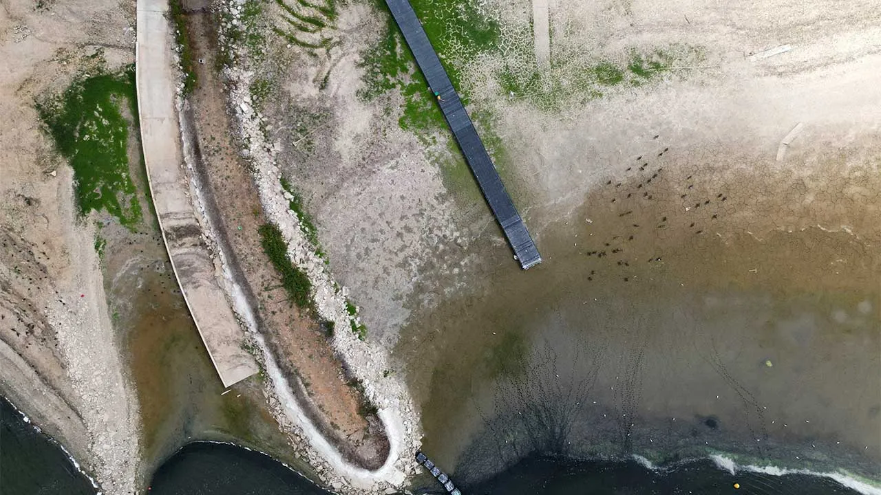 A drone view shows birds on the exposed shoreline beside a jetty at Hanningfield Reservoir near Chelmsford, Britain, August 22, 2026. Prolonged hot and dry weather reduced water levels and prompted the announcement of a hosepipe ban across Essex. REUTERS/Hannah McKay TPX IMAGES OF THE DAY