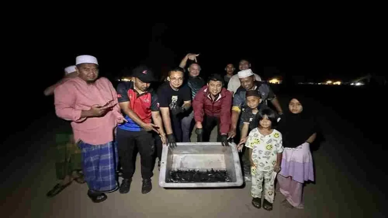 https://www.sinarharian.com.my/article/793247/edisi/kelantan/seleselepas-tiga-dekad-penyu-agar-menetas-di-kelantan