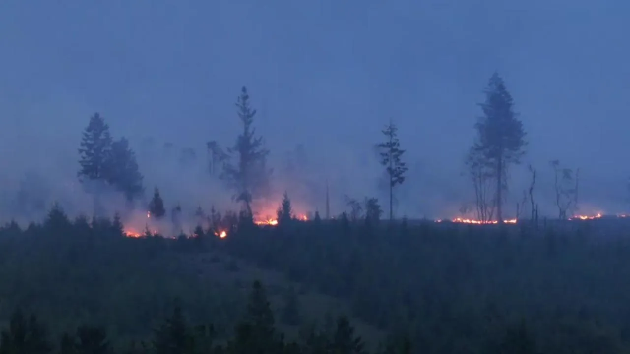 Drone shows Belgium's biggest wildfire on record -- REUTERS