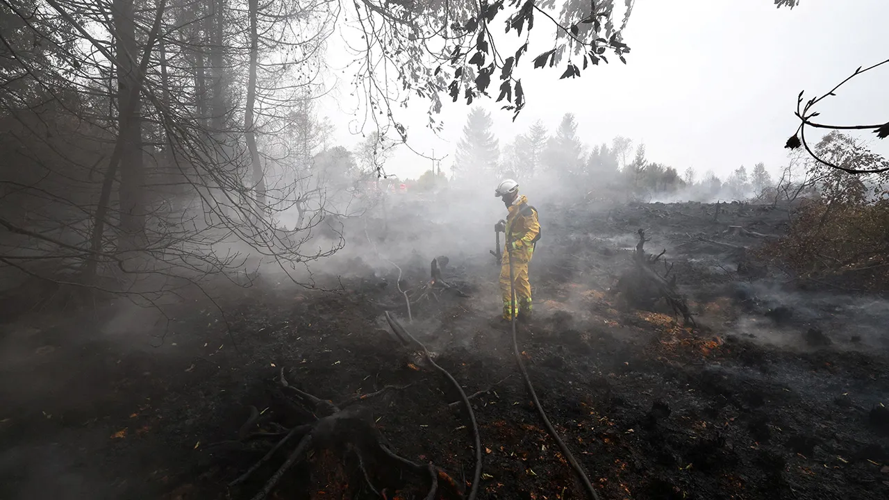 A Belgian firefighter stands among charred tree stumps in a forested area affected by a wildfire in Waimes, Belgium, August 17, 2026. REUTERS/Yves Herman 