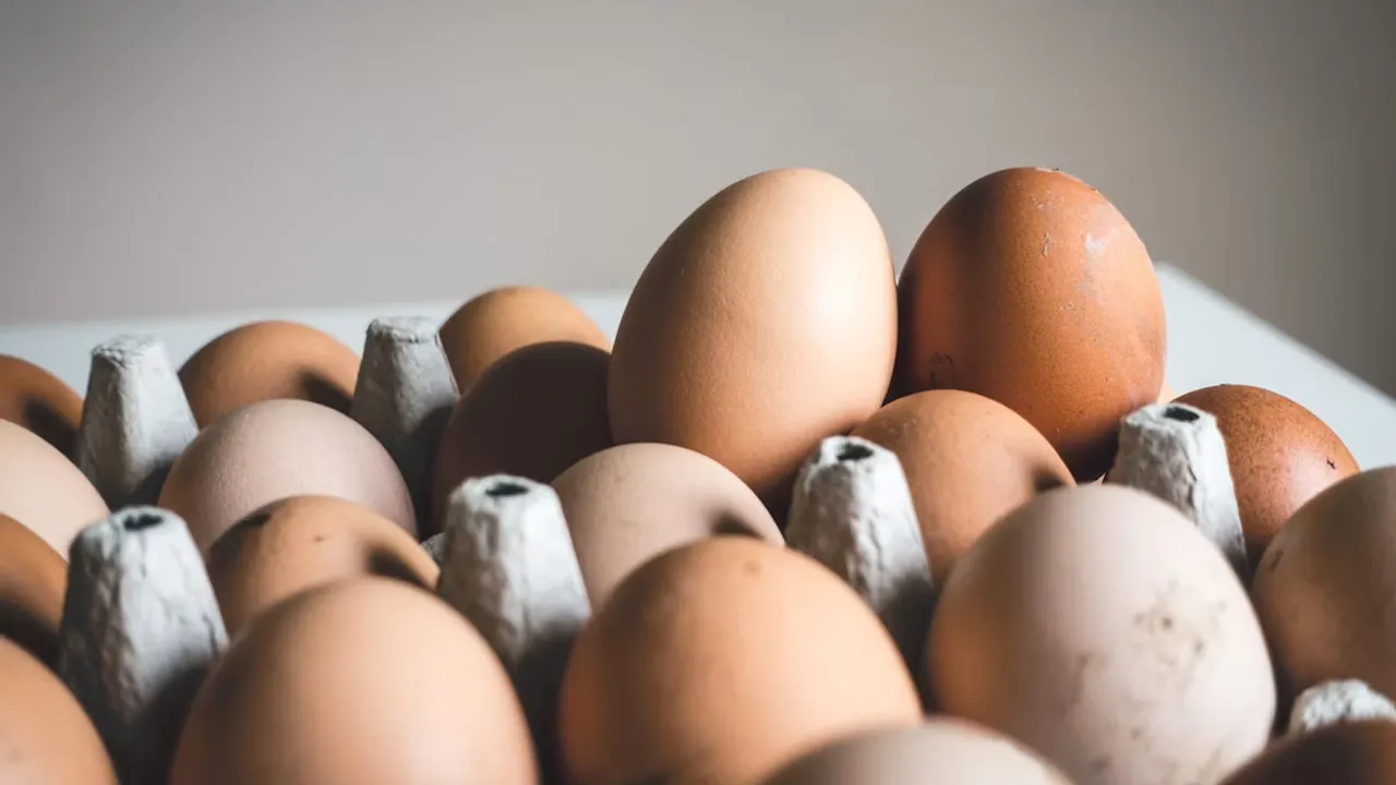 Egg_Unsplash