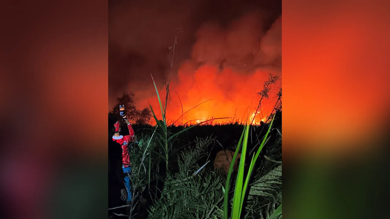 A person uses a mobile phone to capture visuals of a wildfire burning in Lamandau forest in Central Kalimantan, Indonesia, August 20, 2026, in this screengrab obtained from a social media video. Krisna Agung Murti/via REUTERS THIS IMAGE HAS BEEN SUPPLIED BY A THIRD PARTY. MANDATORY CREDIT. NO RESALES. NO ARCHIVES. Verification: -Terrain matches archive and satellite imagery in area -Date and location confirmed from original file metadata -NASA Firms detected thermal capture in the region on August 20 -Indon