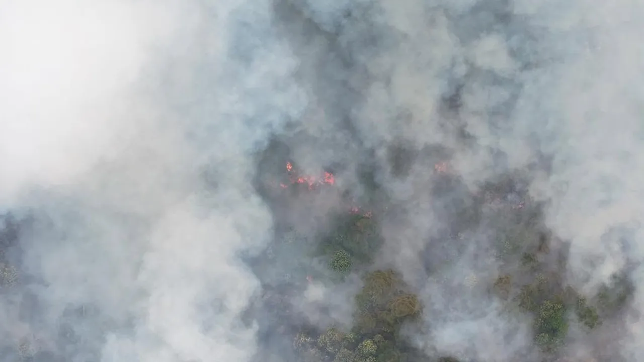 Hampir dua hektar hutan simpan samunsan di lundu terbakar