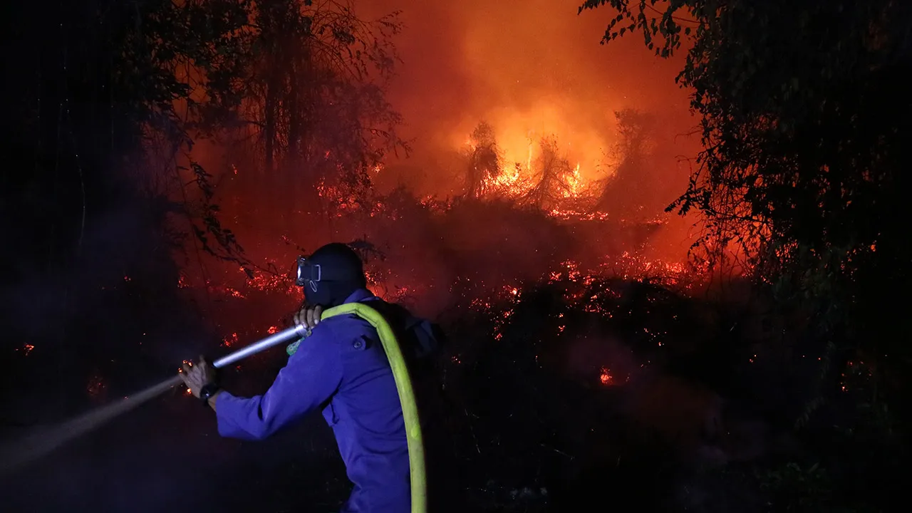 A firefighter attempts to extinguish a wildfire burning through a peatland field in Sampit, Central Kalimantan, Indonesia, Monday, Aug. 24, 2026. (AP Photo/Andri Rizky Agustian)