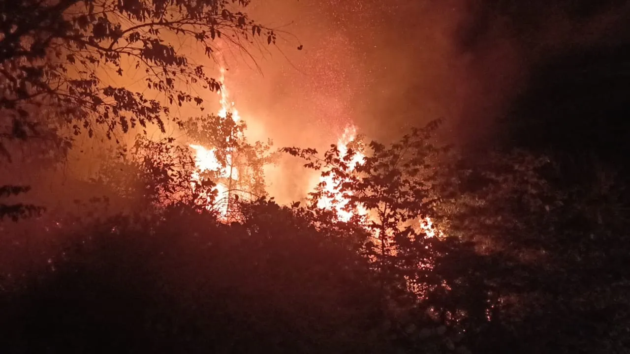 KEBAKARAN HUTAN SEPANG_Astro AWANI