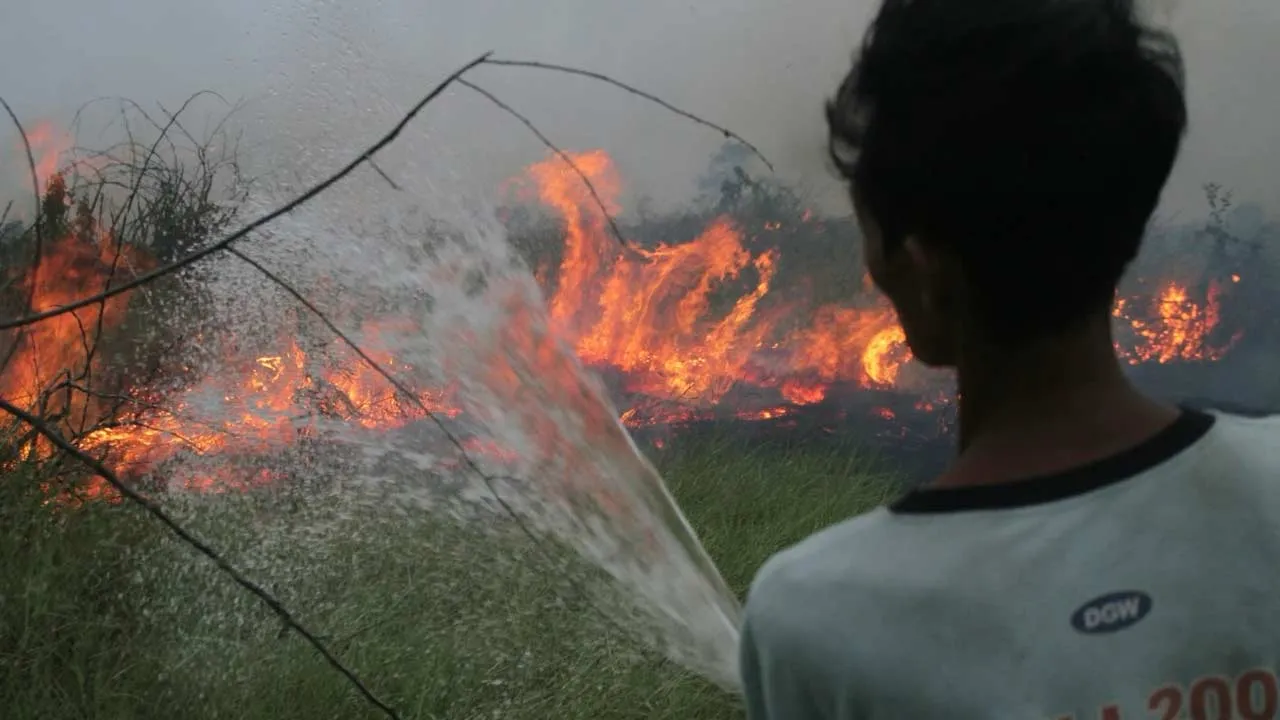 Kalimantan Terbakar