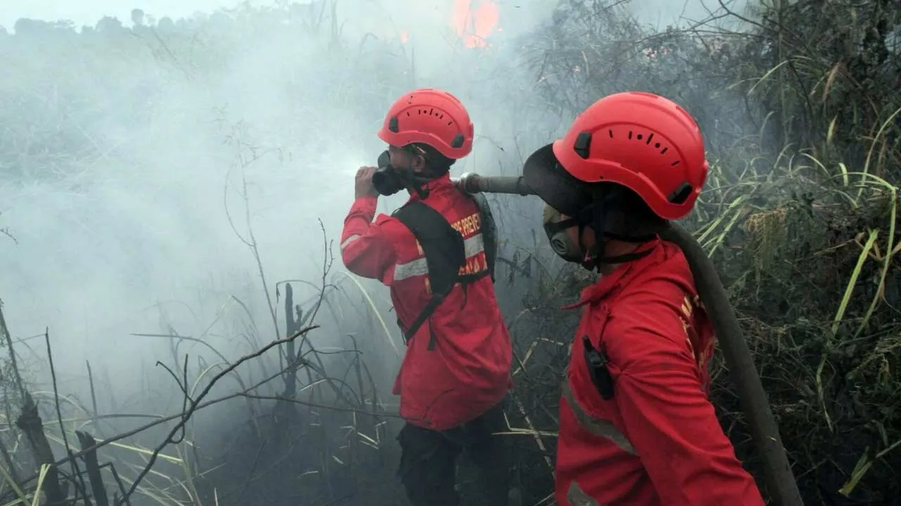 Kalimantan Terbakar