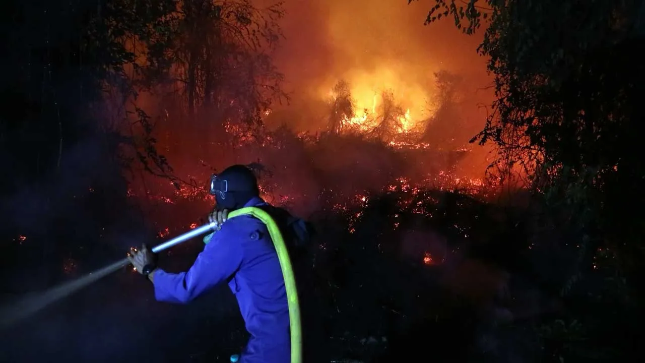 Kalimantan Terbakar