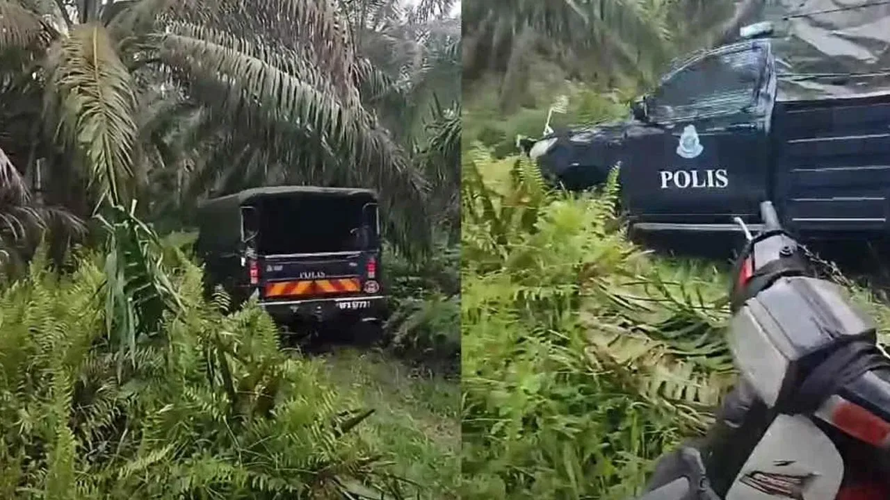 Gambar tular anggota polis melaksanakan siasatan di lokasi kejadian bunuh di kebun kelapa sawit di Banting pada Ahad. -- SINAR HARIAN