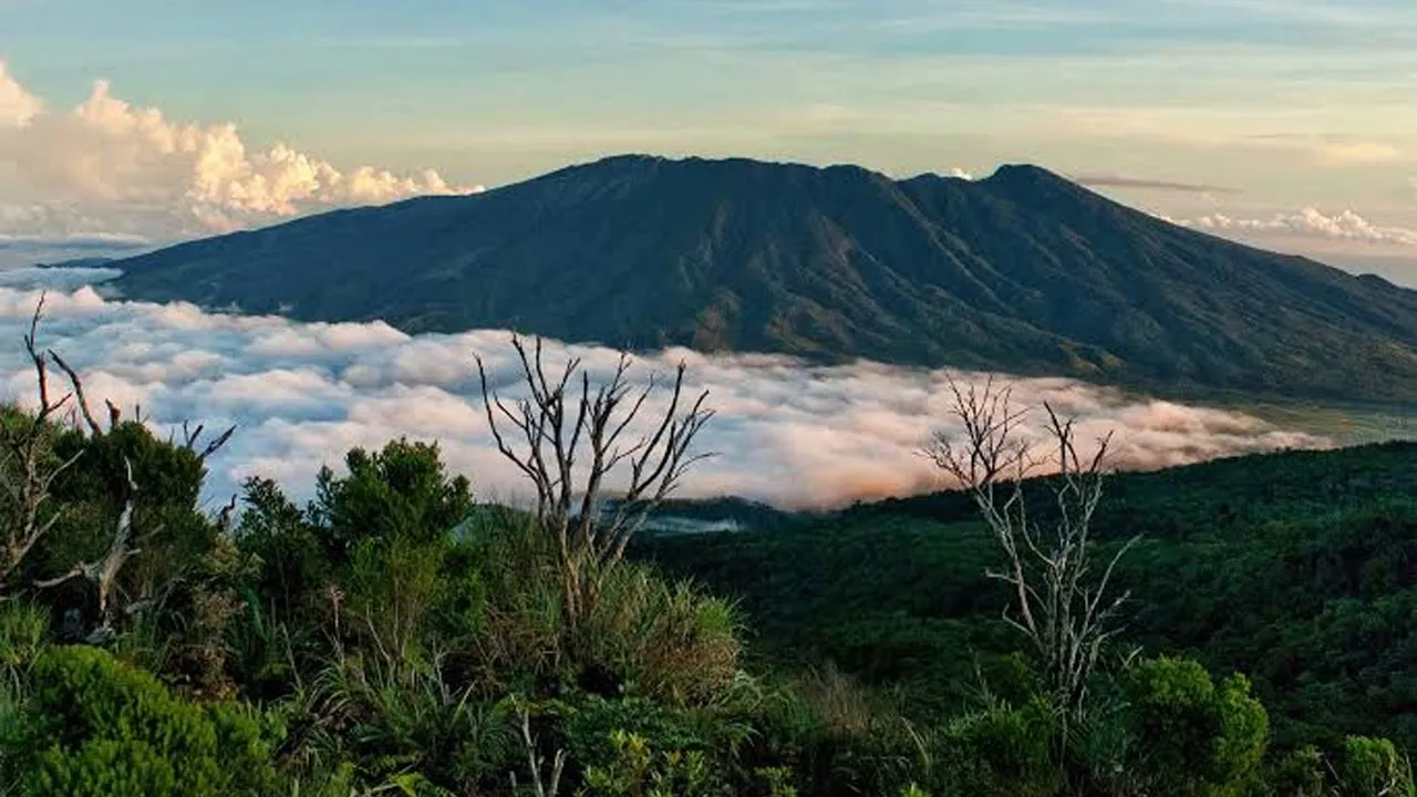 Mount Balatukan Range Natural Park