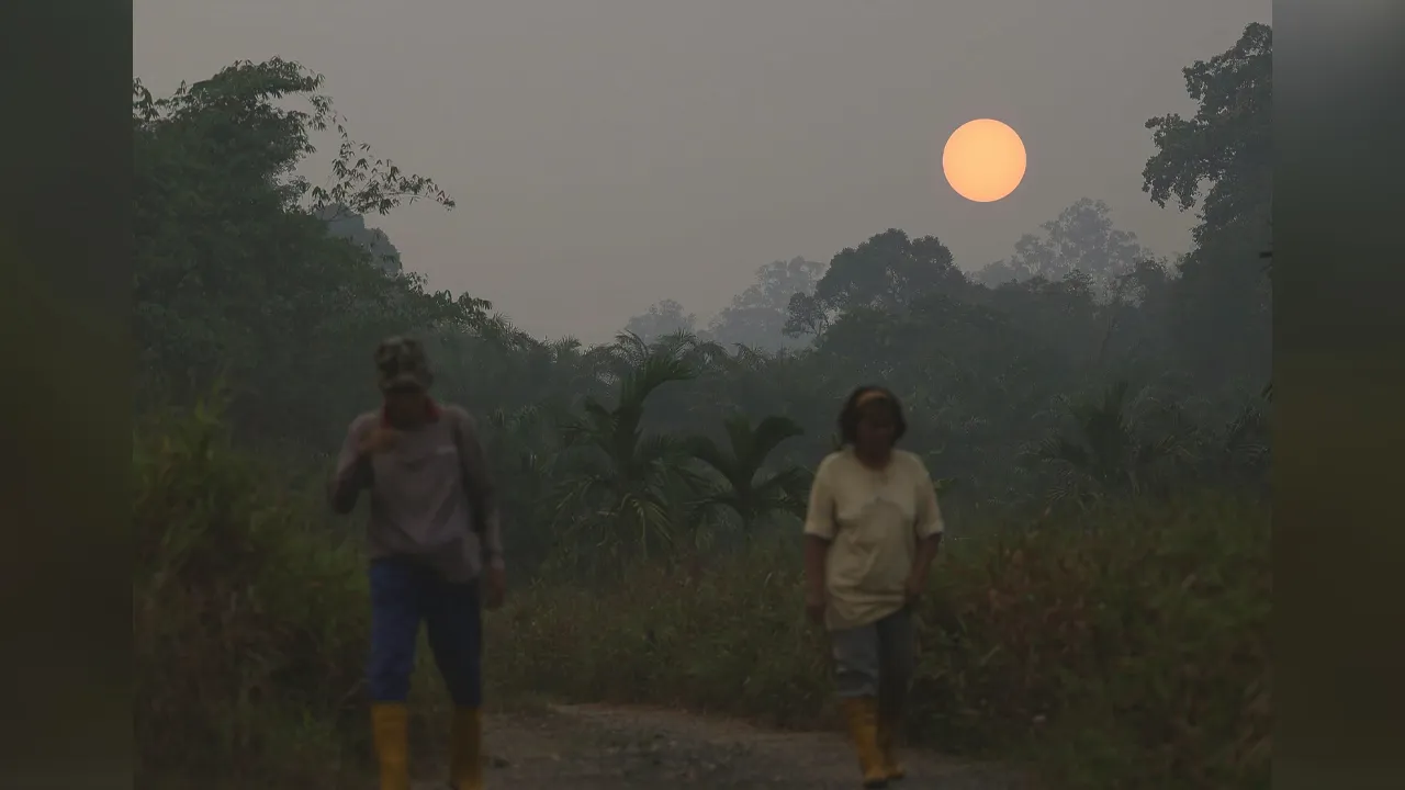 SERIAN, 30 Ogos -- Kelibat dua penduduk yang sedang berjalan menuju ke kebun mereka di Kampung Tebakang, berhampiran Serian, dirakamkan hari ini di sebalik cuaca jerebu yang melanda.  Situasi ini mengundang kebimbangan apabila kawasan Serian mencatatkan bacaan Indeks Pencemar Udara (IPU) pada tahap bahaya, iaitu 364 setakat jam 8 pagi tadi.  Sementara itu, tiga lagi kawasan di Sarawak turut terjejas teruk dengan bacaan IPU pada tahap sangat tidak sihat, iaitu Samarahan (300), Kuching (291), dan Sri Aman (21