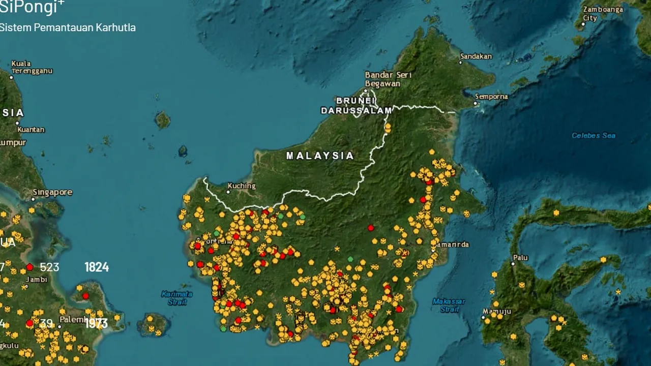 titik panas kalimantan -- Kredit SiPONGI