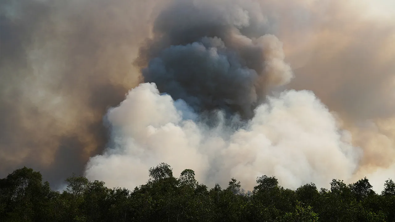 Smoke rises from an area affected by wildfire in Ogan Ilir regency, South Sumatra province, Indonesia, August 9, 2026. REUTERS/Abriansyah Liberto