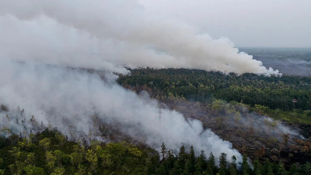A drone view shows smoke rising from wildfire burning in Pulang Pisau, Central Kalimantan province, Indonesia, August 12, 2026. REUTERS/Ajeng Dinar Ulfiana