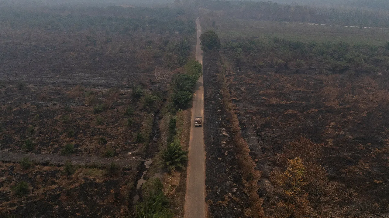 A drone view shows a truck carrying oil palm fruit, driving past a burnt area affected by wildfires, in Kuala Satong village, Ketapang regency, West Kalimantan province, Indonesia, August 30, 2026. REUTERS/Willy Kurniawan