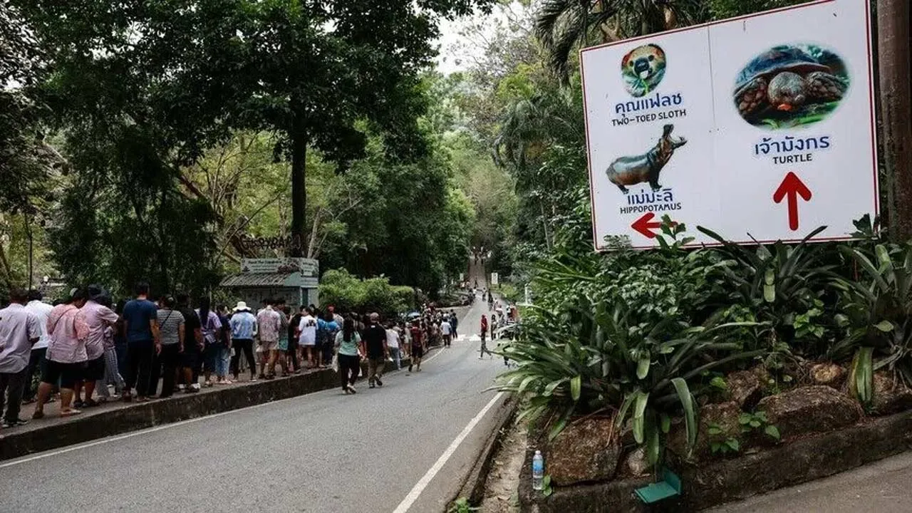Thai zoo owner files complaint over threats by Israeli visitors Koh Samui zoo owner alleges threats against her family and business after dispute over decision to bar Israeli visitors