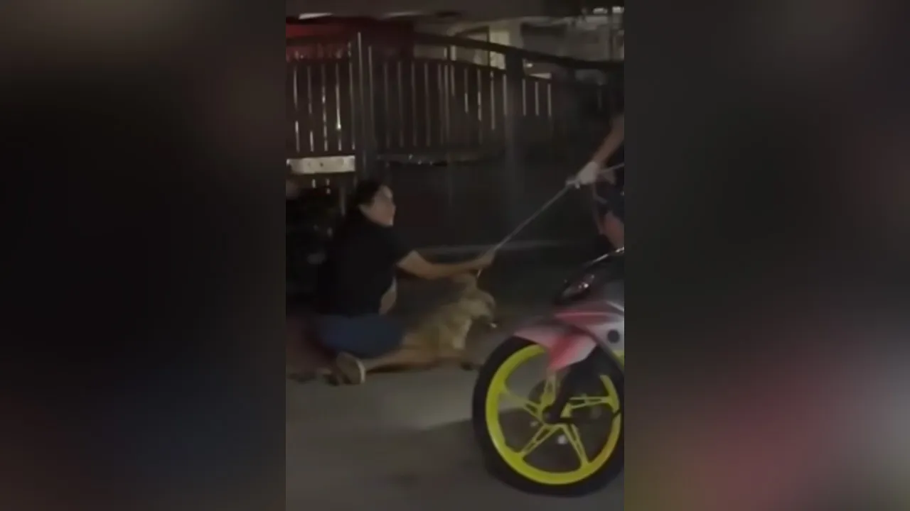 Sila bantu kongsikan ini demi menuntut keadilan untuk anjing tersebut.