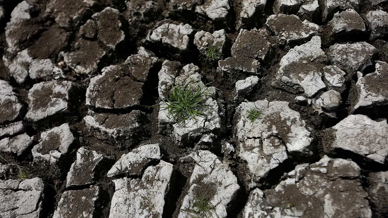 FILE PHOTO: The ground is seen cracked up by a drought at a lagoon in Katharagama August 21, 2014. Sri Lanka's annual inflation rate should not increase sharply due to an extended drought and the government is ready to mitigate any inflationary risks arising from the bad weather, top officials said. REUTERS/Dinuka Liyanawatte/File Photo